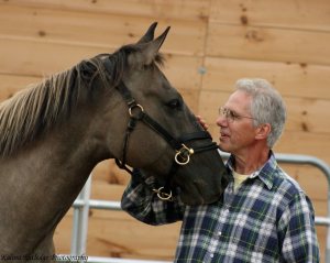 Connecting with the horse