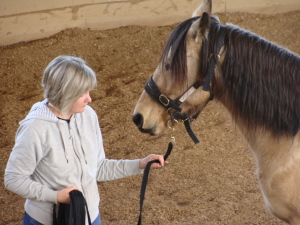 Maureen - Equus Coach 